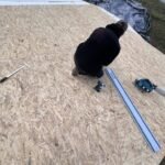 kupola JASNA - 009 kupola JASNA - 009