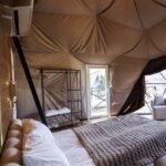 Screenshot Screenshot