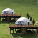 Screenshot Screenshot